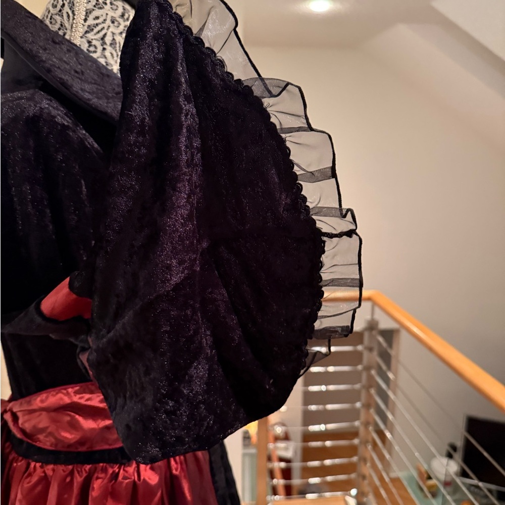Vampire Queen M Halloween Dress Costume Black and Red Gown - Picture 11 of 13